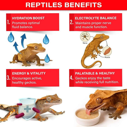 Gargeer 'Picky Geck' Watermelon Crush - Premium Crested Gecko Food | Hydration & Circulation Support