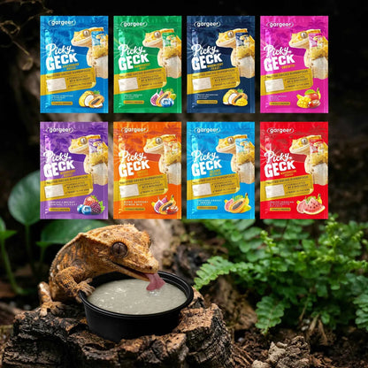 Gargeer 'Picky Geck' Discovery Kit | 8 Sachet Flavors to Test and Enjoy | Real Fruit & Insect Protein | No Fillers - Only Premium Ingredients