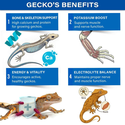 Gargeer 'Picky Geck' Discovery Kit | 8 Sachet Flavors to Test and Enjoy | Real Fruit & Insect Protein | No Fillers - Only Premium Ingredients