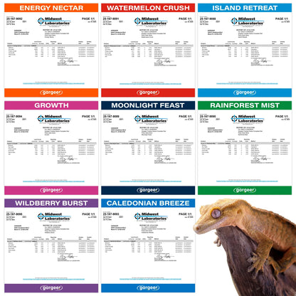 Gargeer 'Picky Geck' Discovery Kit | 8 Sachet Flavors to Test and Enjoy | Real Fruit & Insect Protein | No Fillers - Only Premium Ingredients