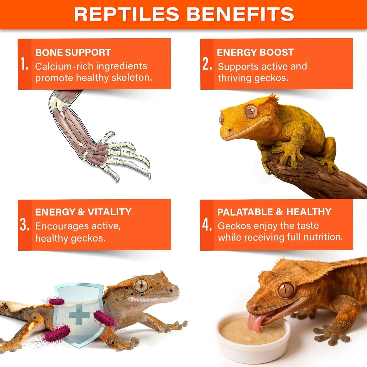 Gargeer 'PICKY GECK' - ENERGY NECTAR - Premium Crested Gecko Food | Hydration & Circulation Support