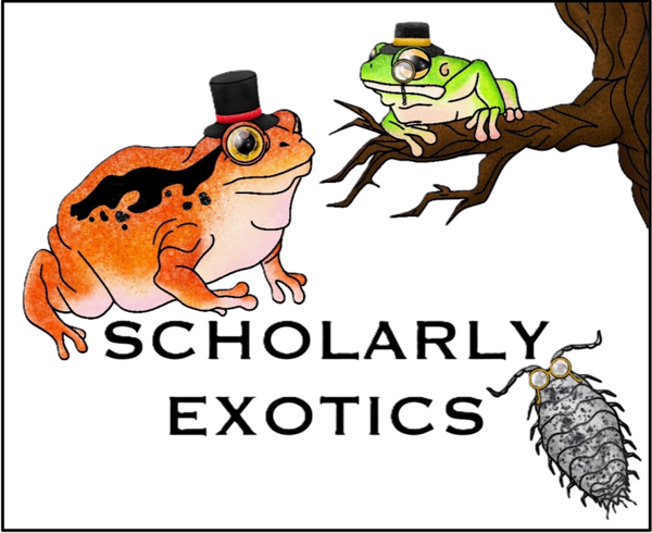Scholarly Exotics Gift Card