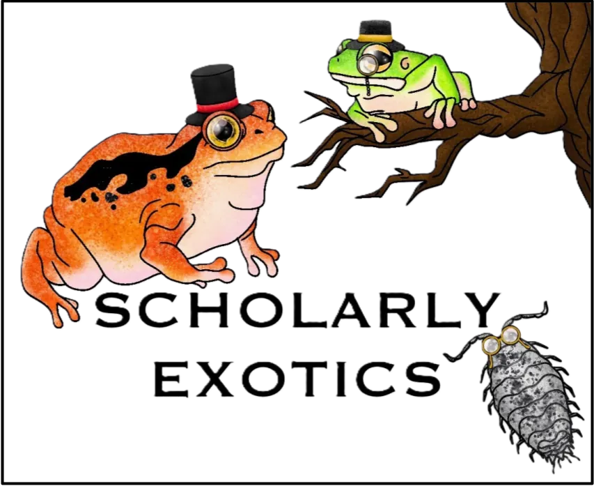 Logo PNG Border.png