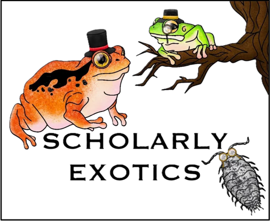Logo PNG Border.png