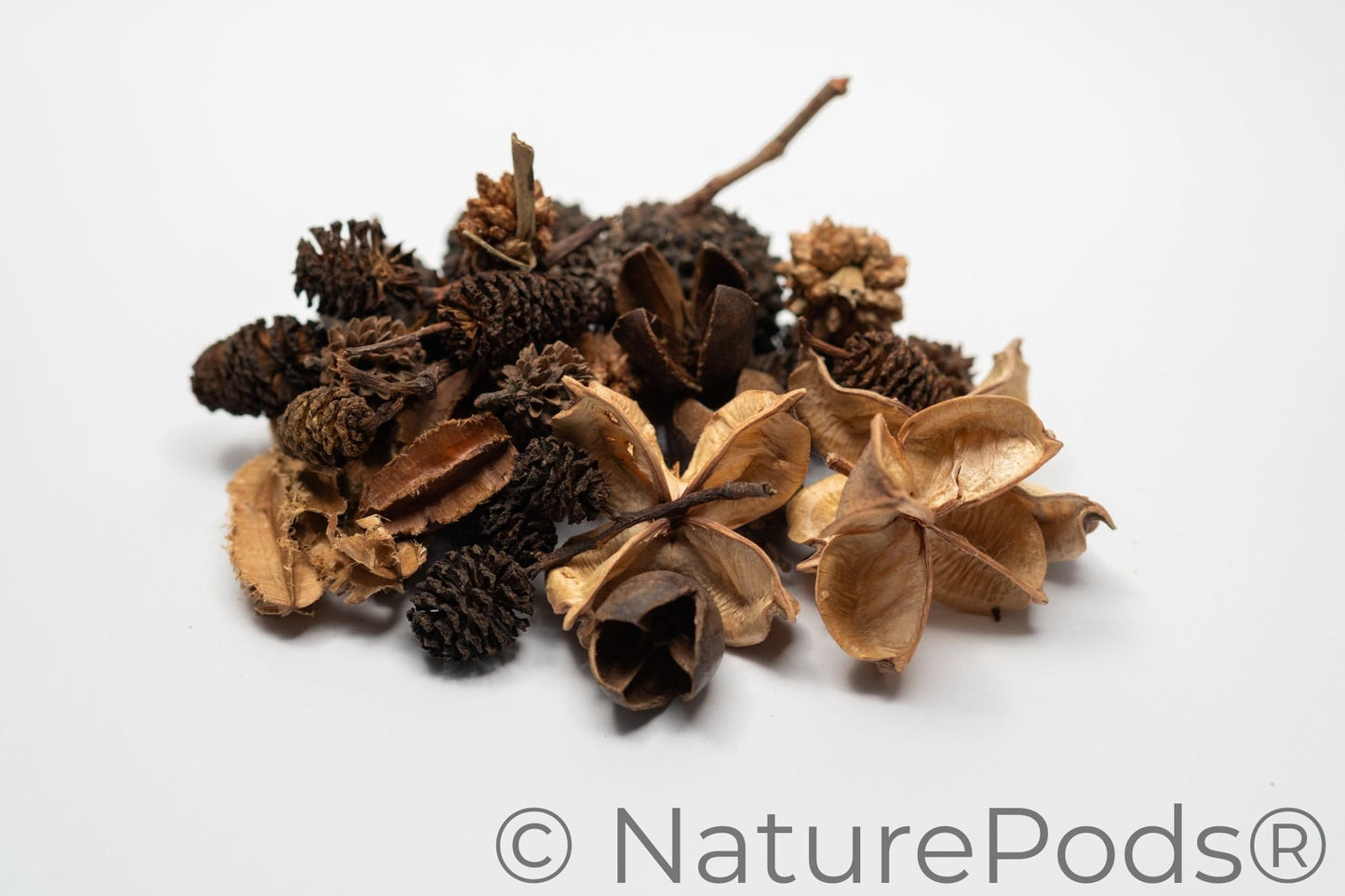 Mini/Nano Seed Pod Variety Pack - 37 Pieces
