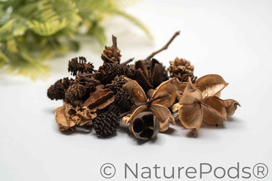 Mini/Nano Seed Pod Variety Pack - 37 Pieces