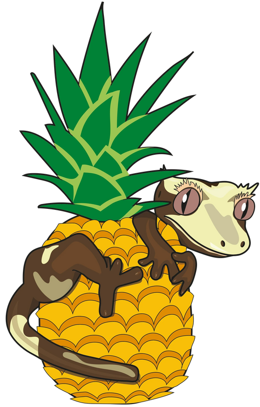 Blue River Diets Pineapple Crush