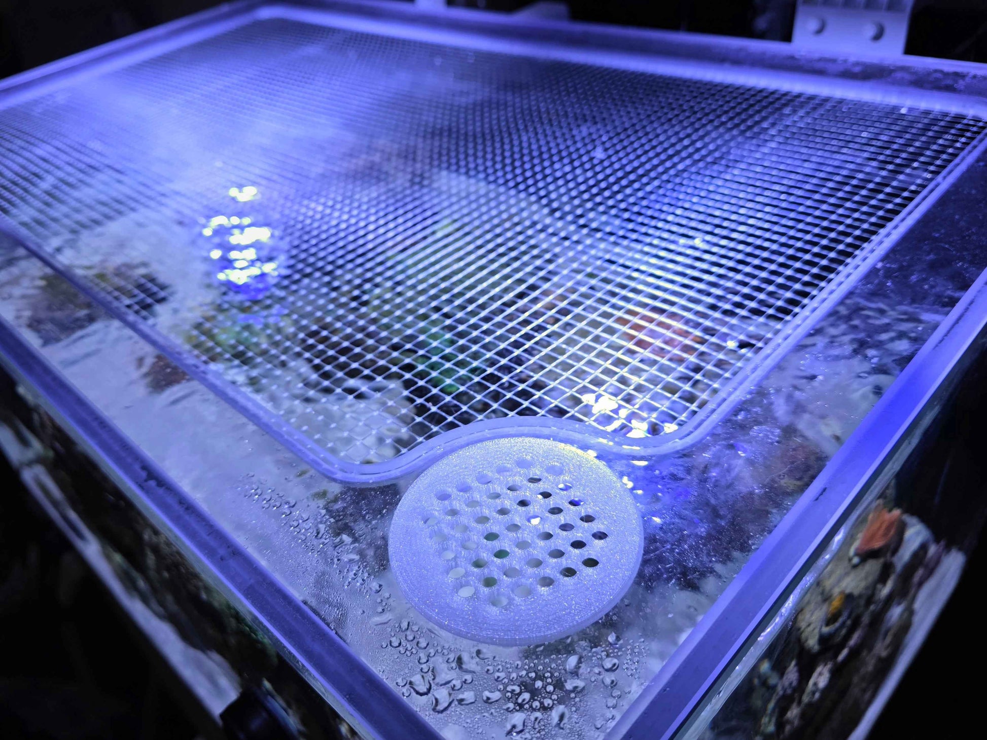 Reef Ready 35-Gallon AIO System