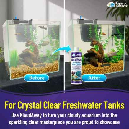 KloudAway Aquarium Water Clarifier 500ml – Freshwater Treatment
