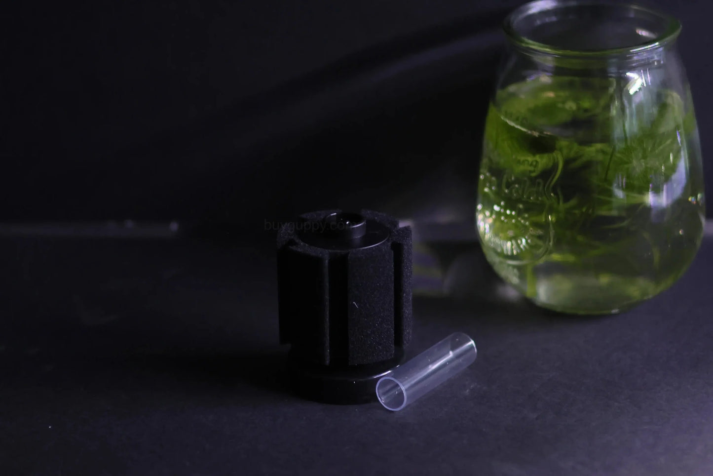 Sponge Filter (Up to 10 Gallon Aquariums)
