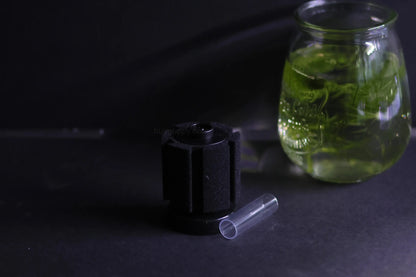 Sponge Filter (Up to 10 Gallon Aquariums)