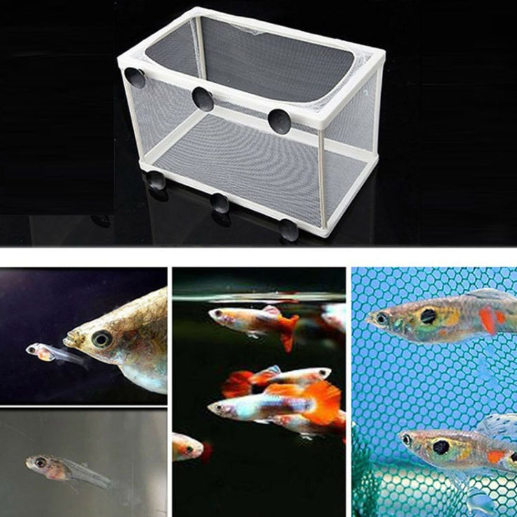 Fine Mesh Aquarium Breeder Box | Large
