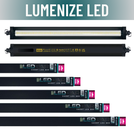 LumenIZE Jungle Dawn LED Bar - Scholarly Exotics LLC