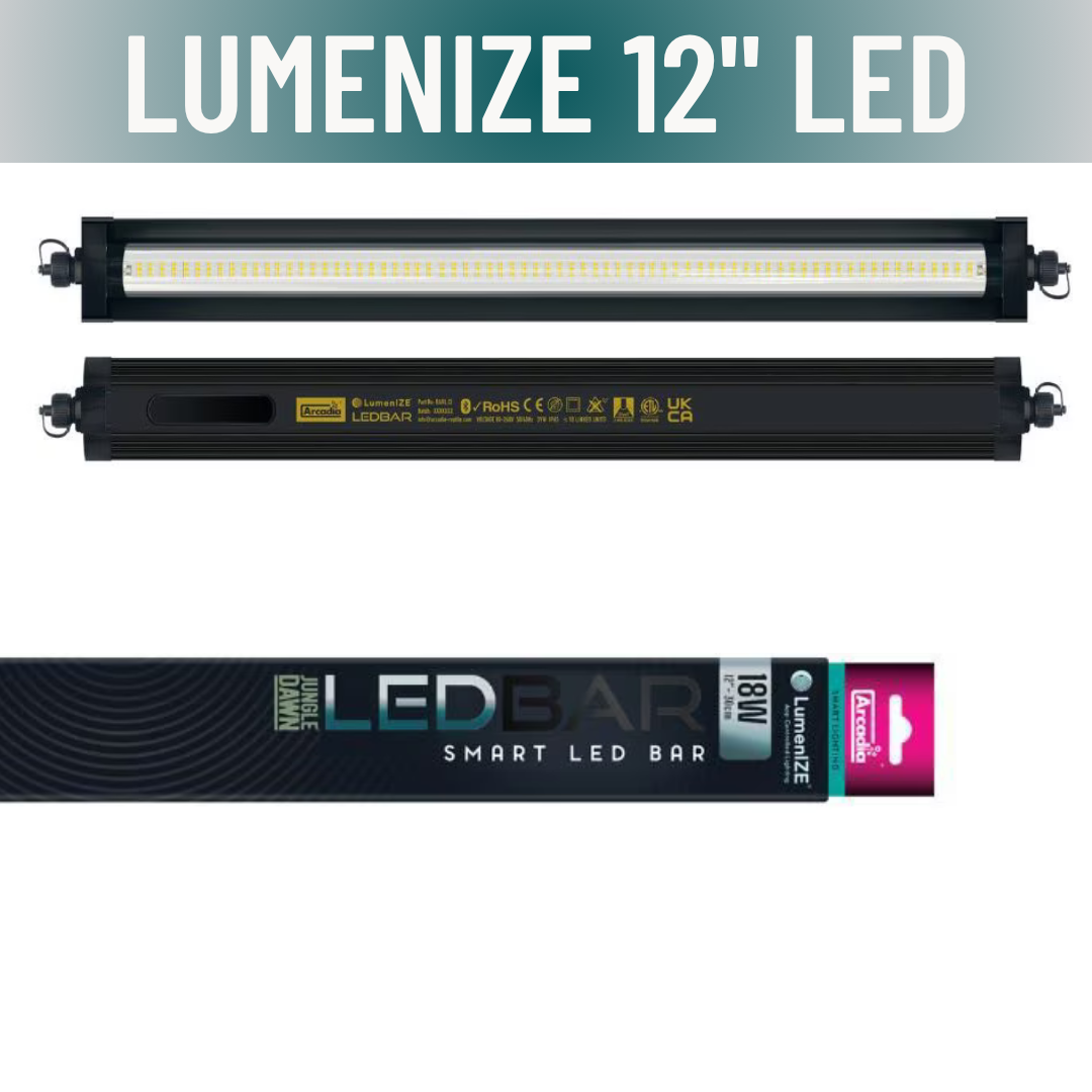 LumenIZE Jungle Dawn LED Bar - Scholarly Exotics LLC