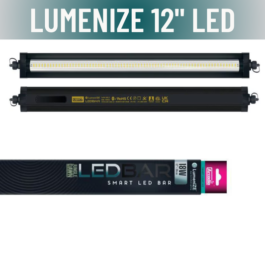 LumenIZE Jungle Dawn LED Bar - Scholarly Exotics LLC