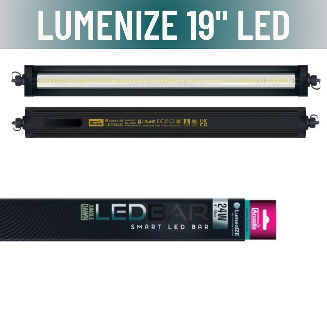 LumenIZE Jungle Dawn LED Bar - Scholarly Exotics LLC