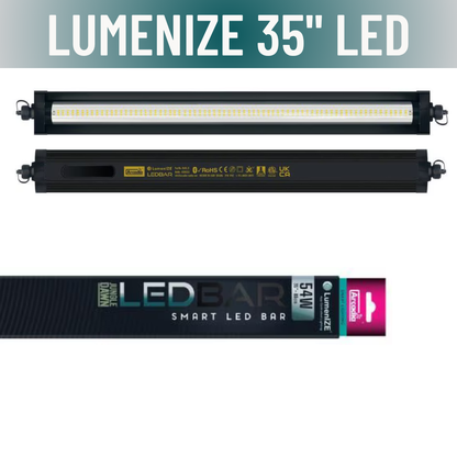 LumenIZE Jungle Dawn LED Bar - Scholarly Exotics LLC