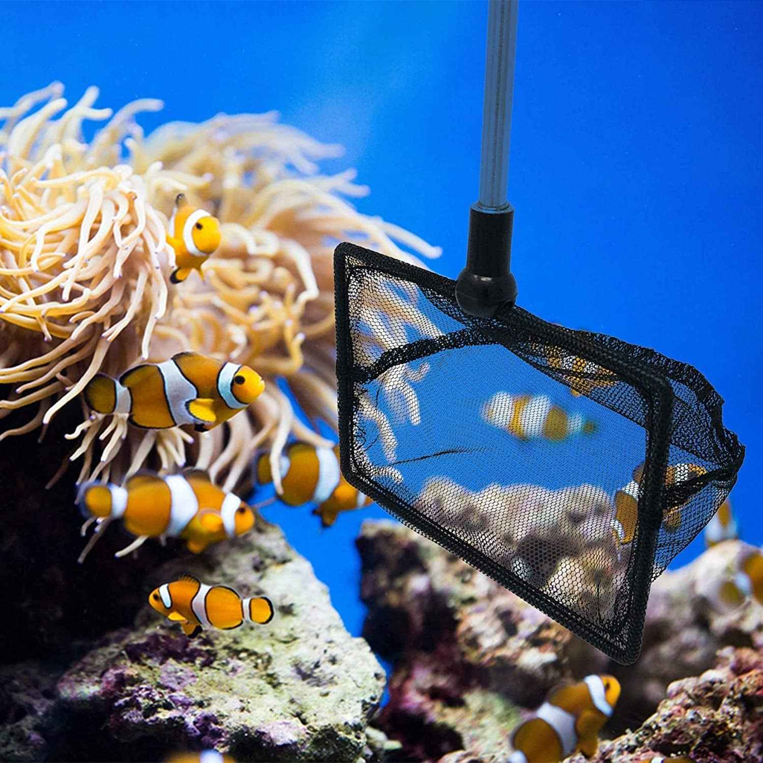 Fish Net (2.5") for Fish Tank