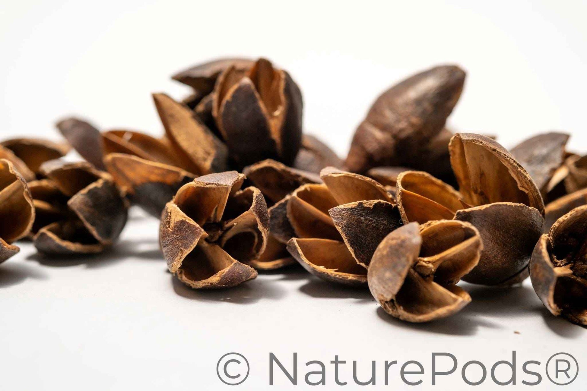 Bakuli Pods