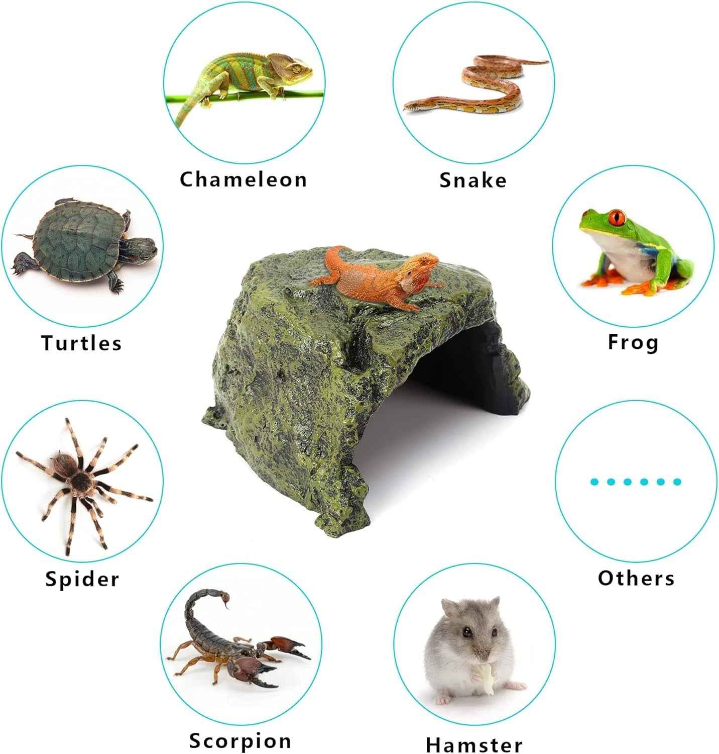 Reptile Rock Hide Cave Natural Resin Habitat for Lizards Turtles Fish