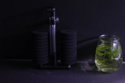 Dual Sponge Filter (Up to 55 Gallon Aquariums)