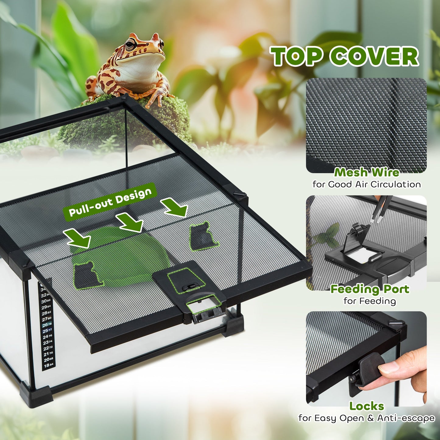 18L (4.8 Gallon) Glass Terrarium Kit with Accessories