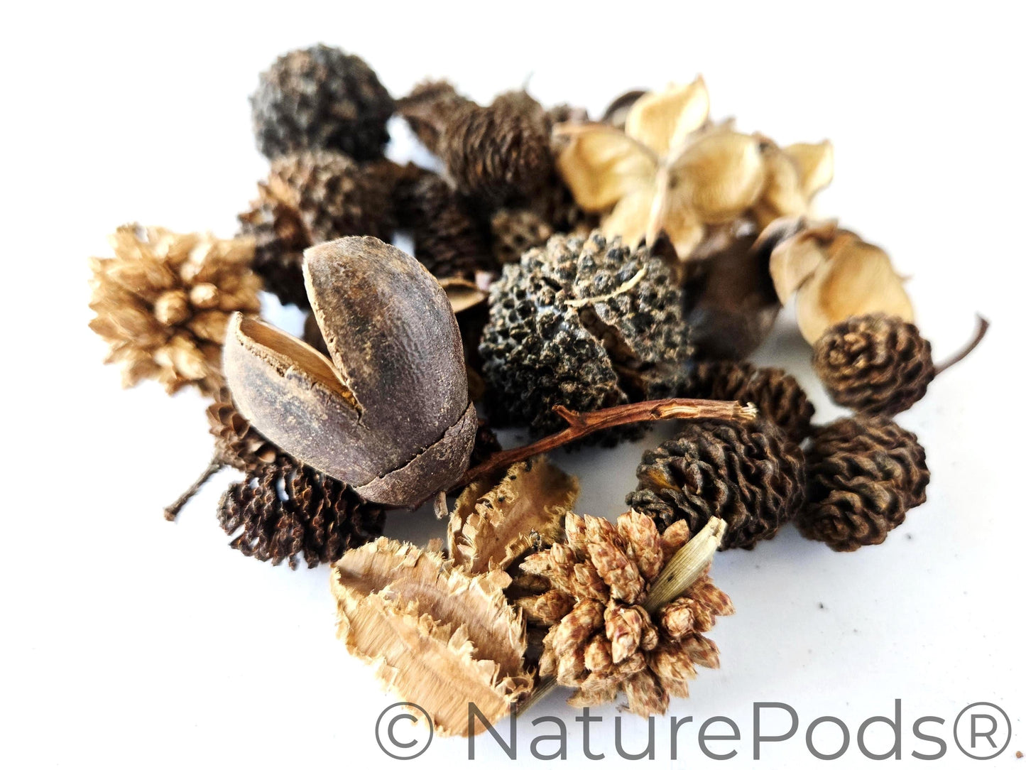 Mini/Nano Seed Pod Variety Pack - 37 Pieces