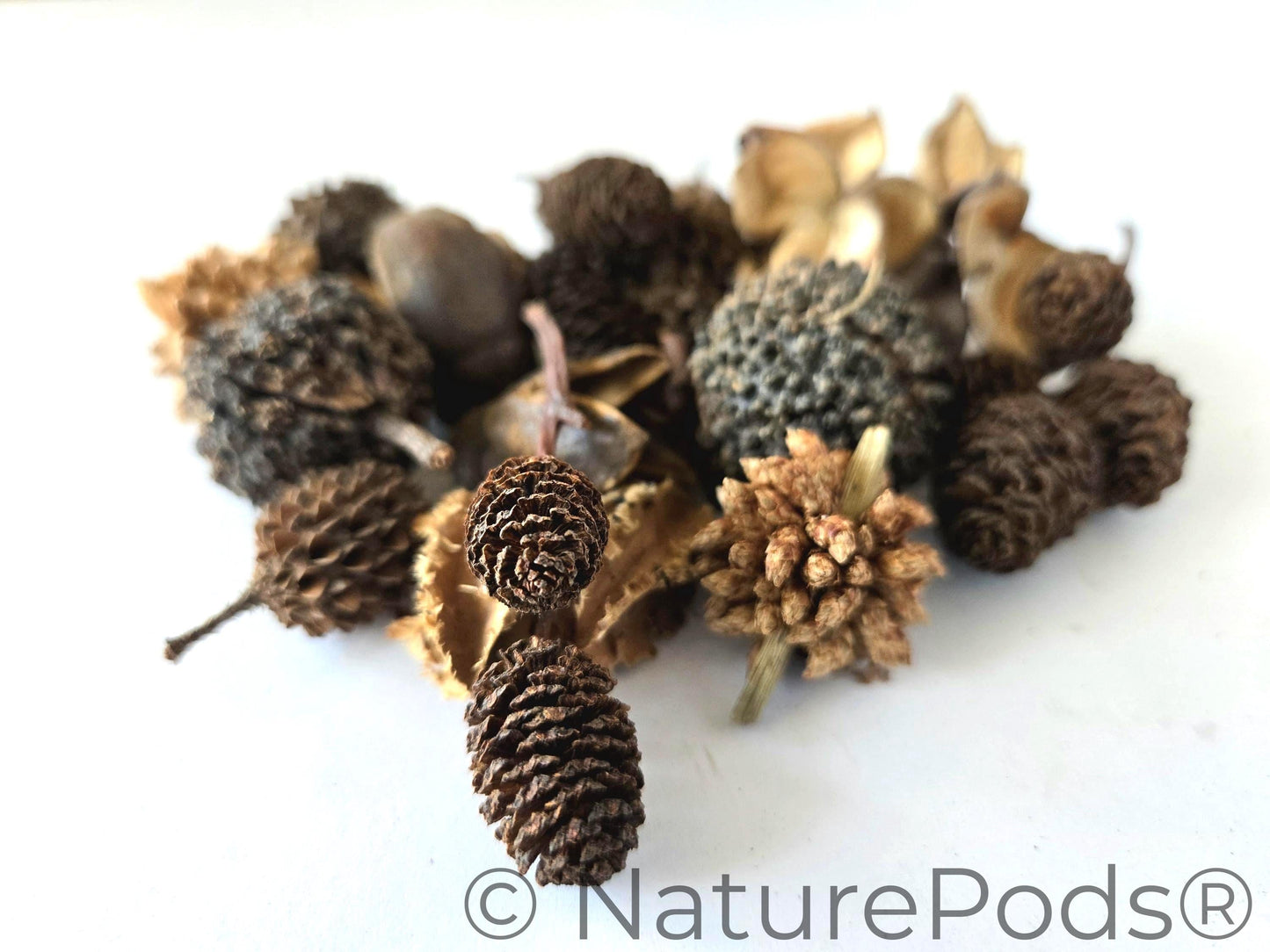 Mini/Nano Seed Pod Variety Pack - 37 Pieces