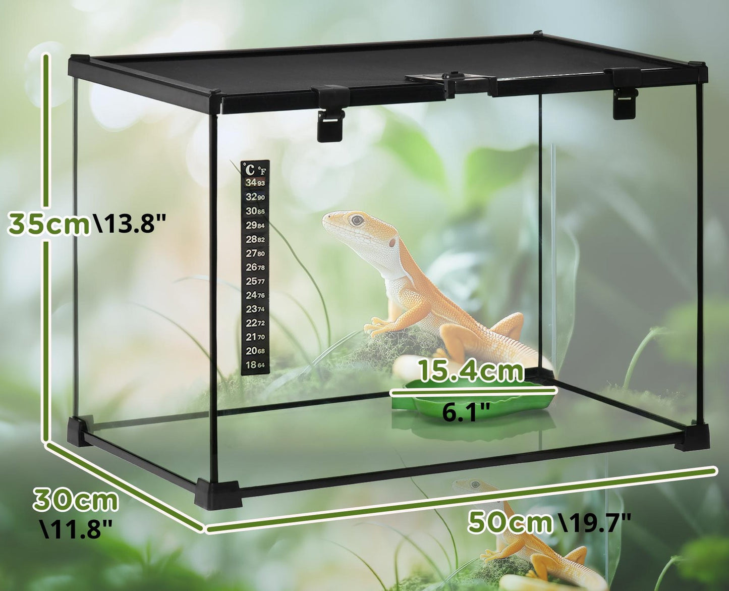50L (13 Gallon) Glass Terrarium with Accessories