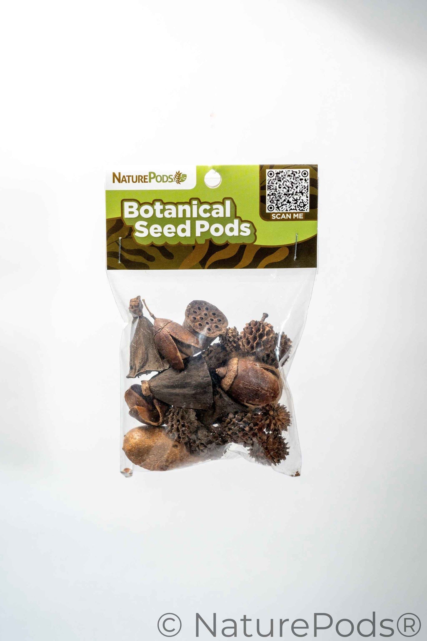 Assorted Mini/Nano Botanical Seed Pod Pack