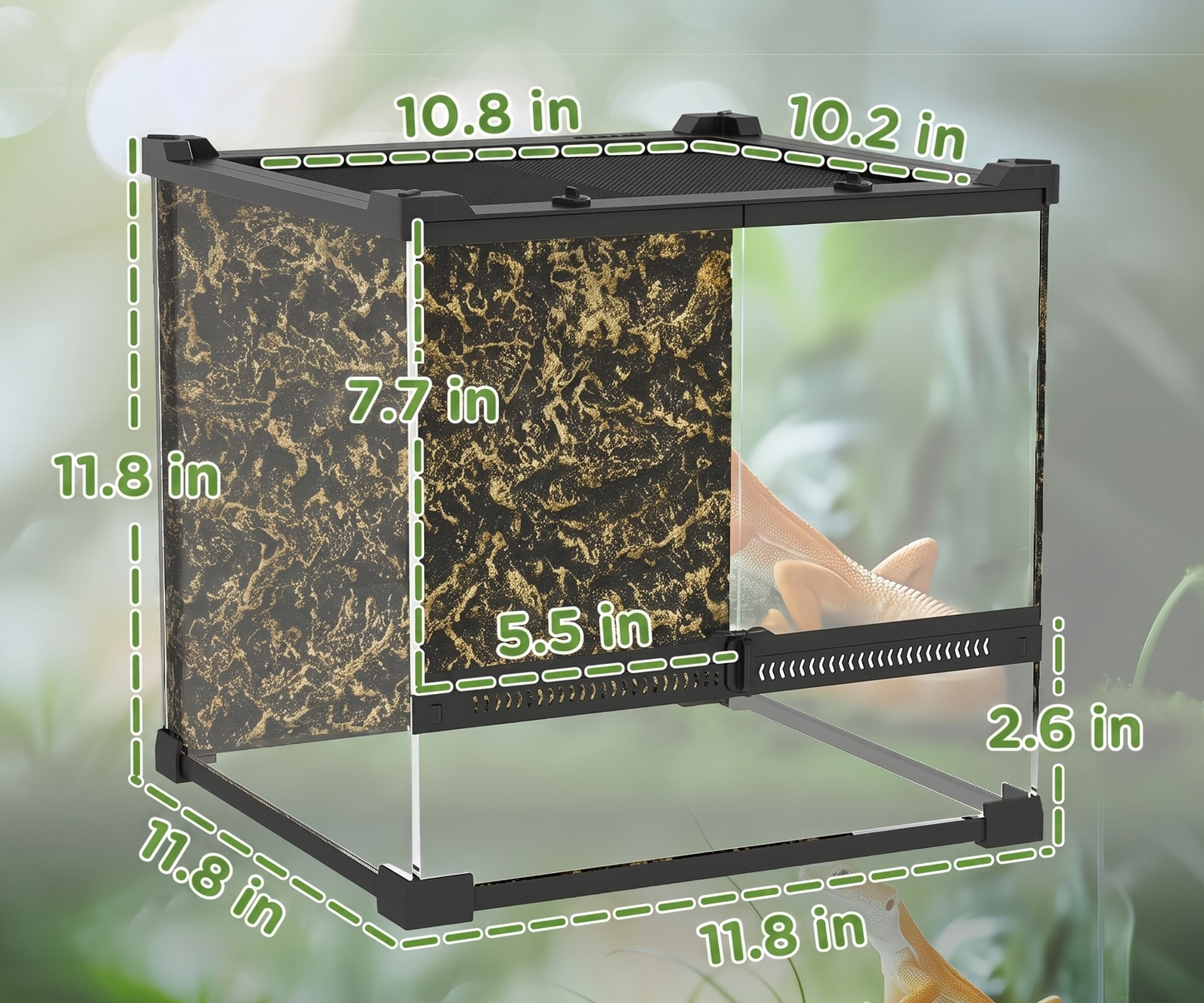 24L (6.3 Gallon) Vivarium with Rock Background