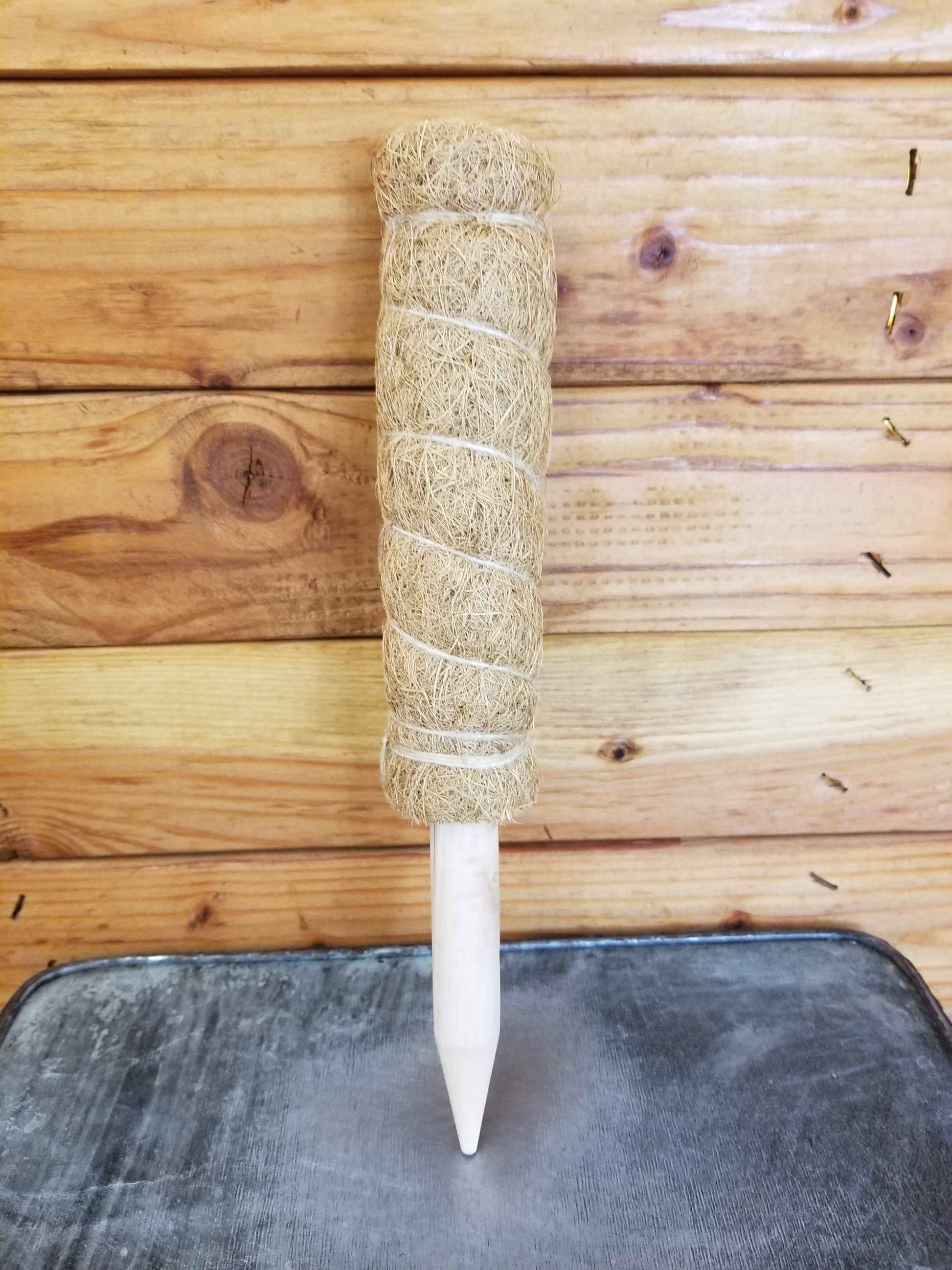 Moss Pole-Small