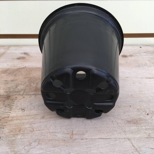 Starter Kit for Large Cuttings (2 Pots) - Scholarly Exotics LLC