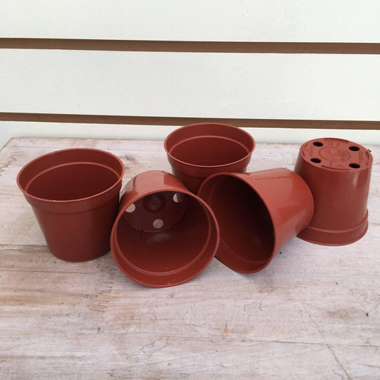 Starter Kit for Small Cuttings - Scholarly Exotics LLC